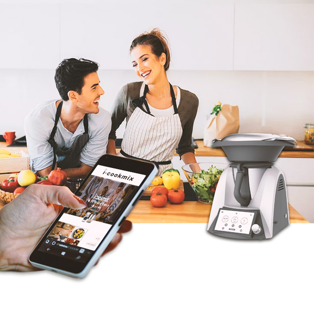 Factory Manufacturing New Desi - Food Processor Large review and price